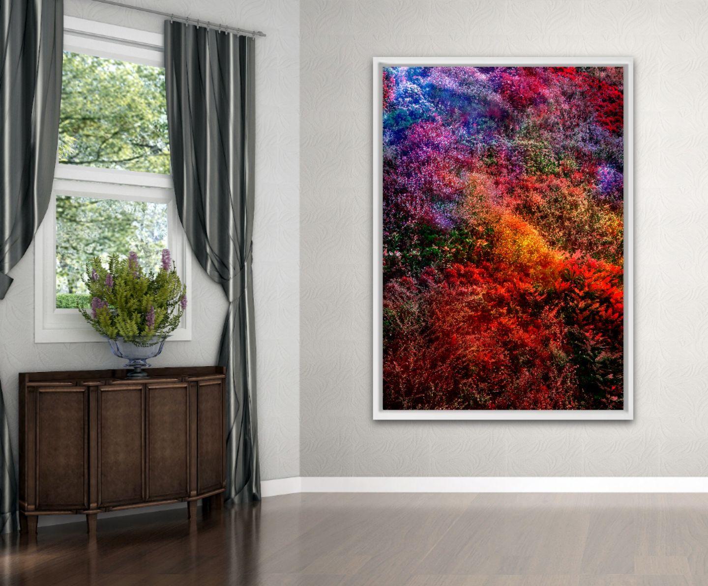 (Museumsausgabe) Wall of Nature XIII, Fotografie, C-Type – Photograph von Viet Ha Tran