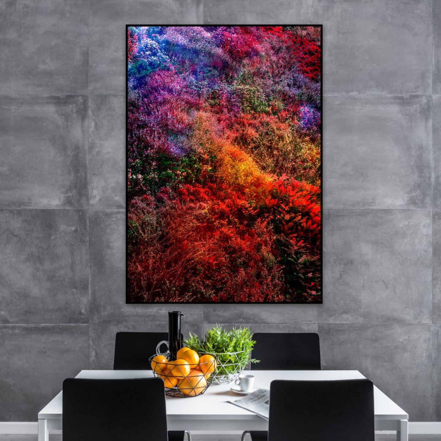 (Museumsausgabe) Wall of Nature XIII, Fotografie, C-Type (Sonstige Kunststile), Photograph, von Viet Ha Tran