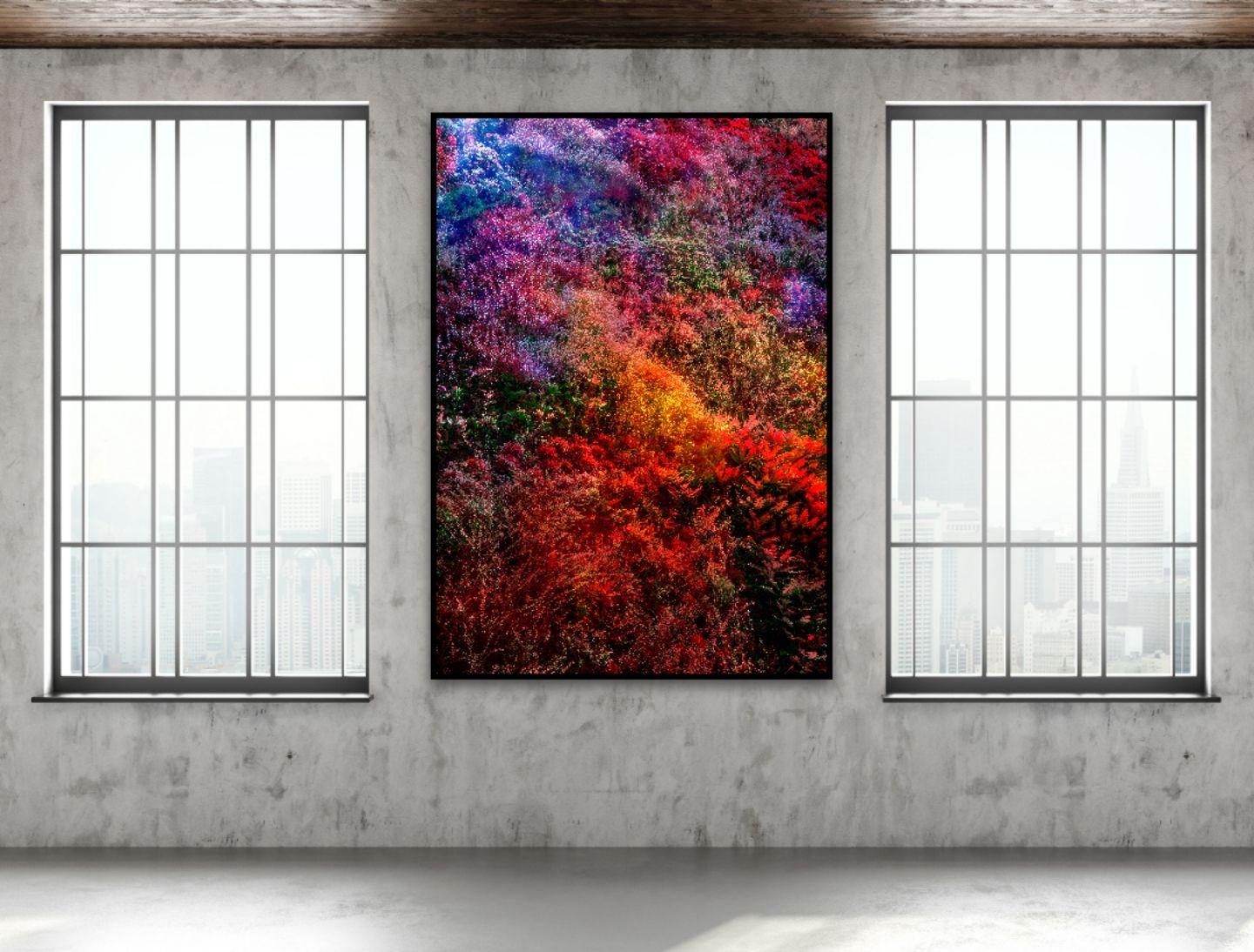 (Museumsausgabe) Wall of Nature XIII, Fotografie, C-Type (Schwarz), Color Photograph, von Viet Ha Tran