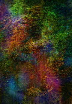 (Museum Edition) Wall of Nature XV, Photograph, C-Type
