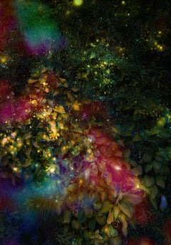 (Museum Edition) Wall of Nature XVII, Photograph, C-Type