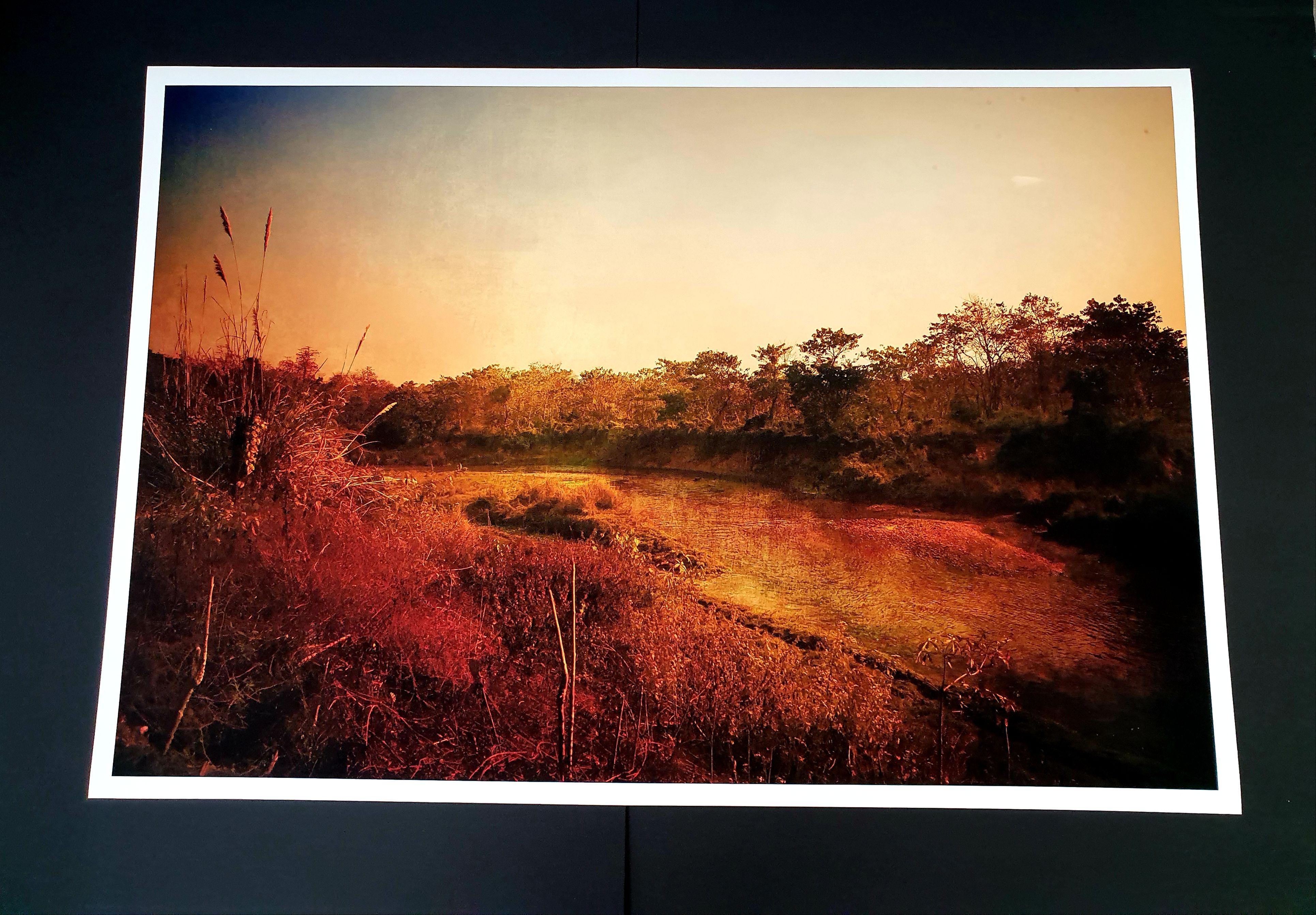 National Park von Chitwan, Nepal, Fotografie, C-Typ – Photograph von Viet Ha Tran