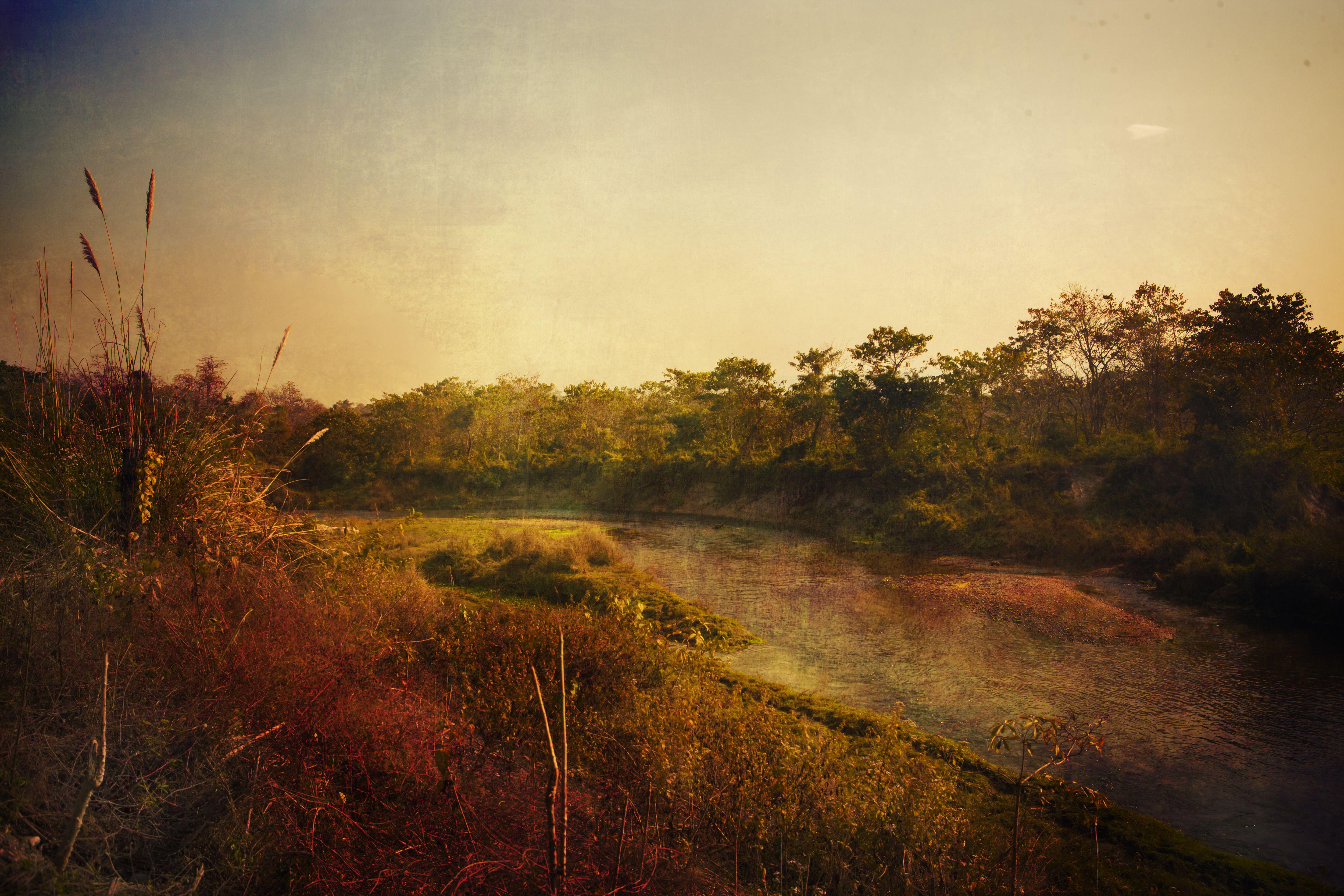 Viet Ha Tran Color Photograph - National Park of Chitwan, Nepal, Photograph, C-Type