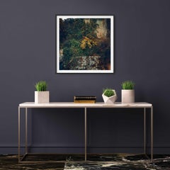 Old wall in Jerusalem, Photograph, C-Type