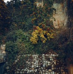 Old wall in Jerusalem, Photograph, C-Type