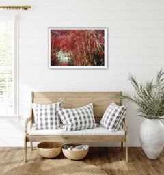 Poetic Istanbul, Photograph, C-Type