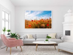 Poppy Field, Photograph, C-Type