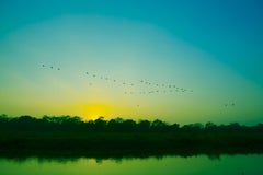 Sunset in Chitwan II, Photograph, C-Type