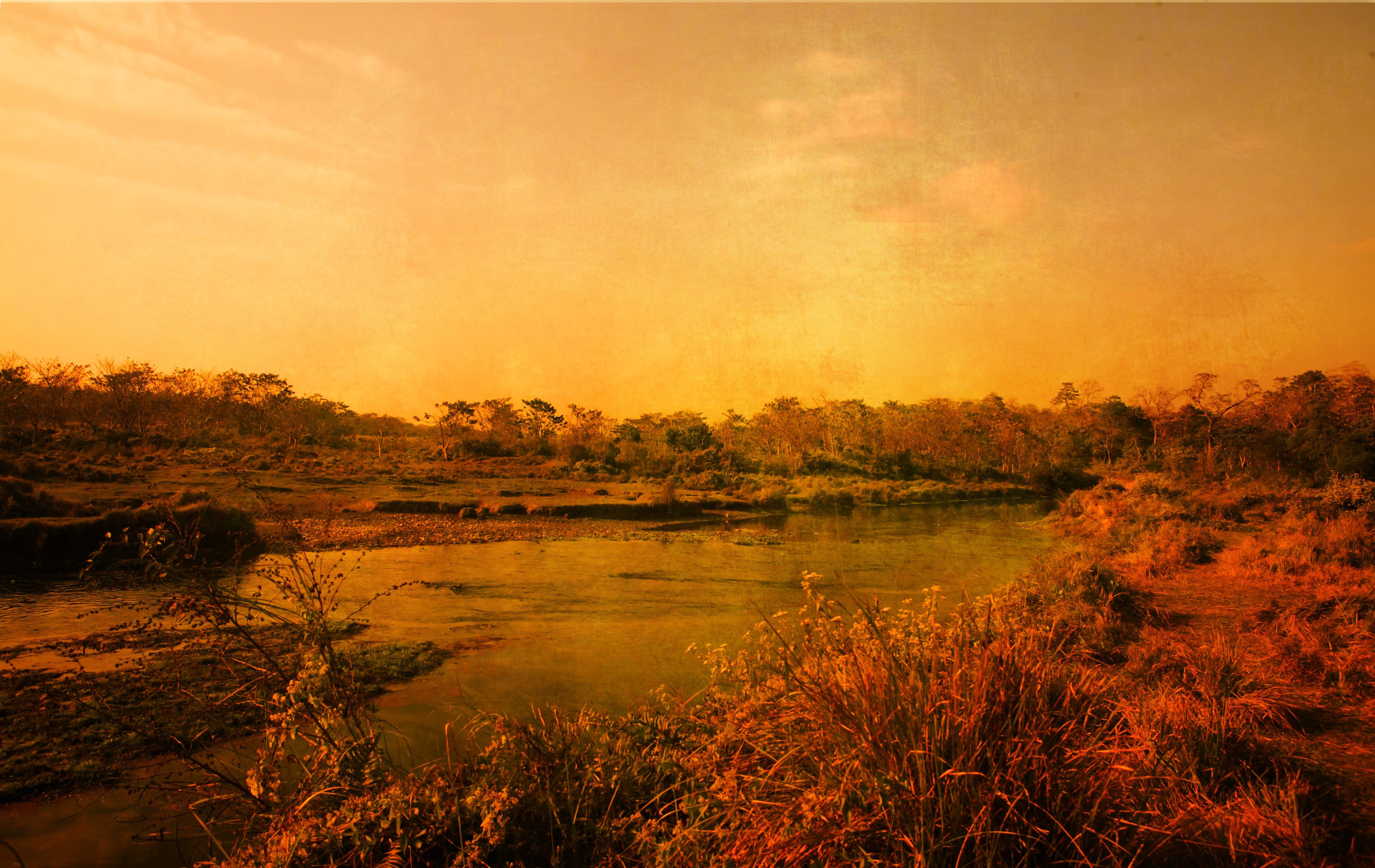 Viet Ha Tran Color Photograph - Sunset in Chitwan, Nepal, Photograph, C-Type