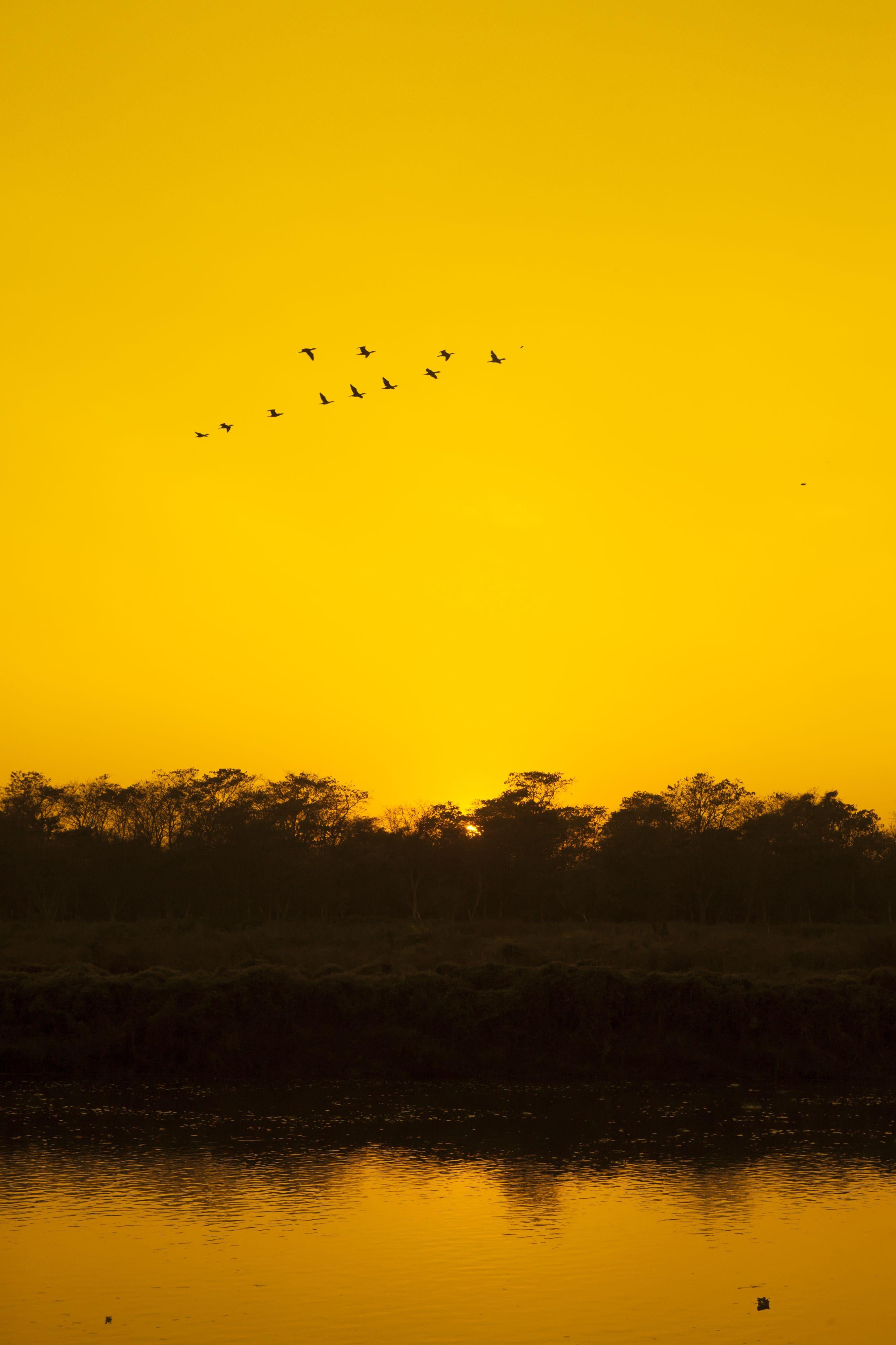 Viet Ha Tran Color Photograph – Sonnenuntergang in Chitwan, Fotografie, C-Typ