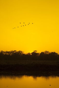 Sunset in Chitwan, Photograph, C-Type