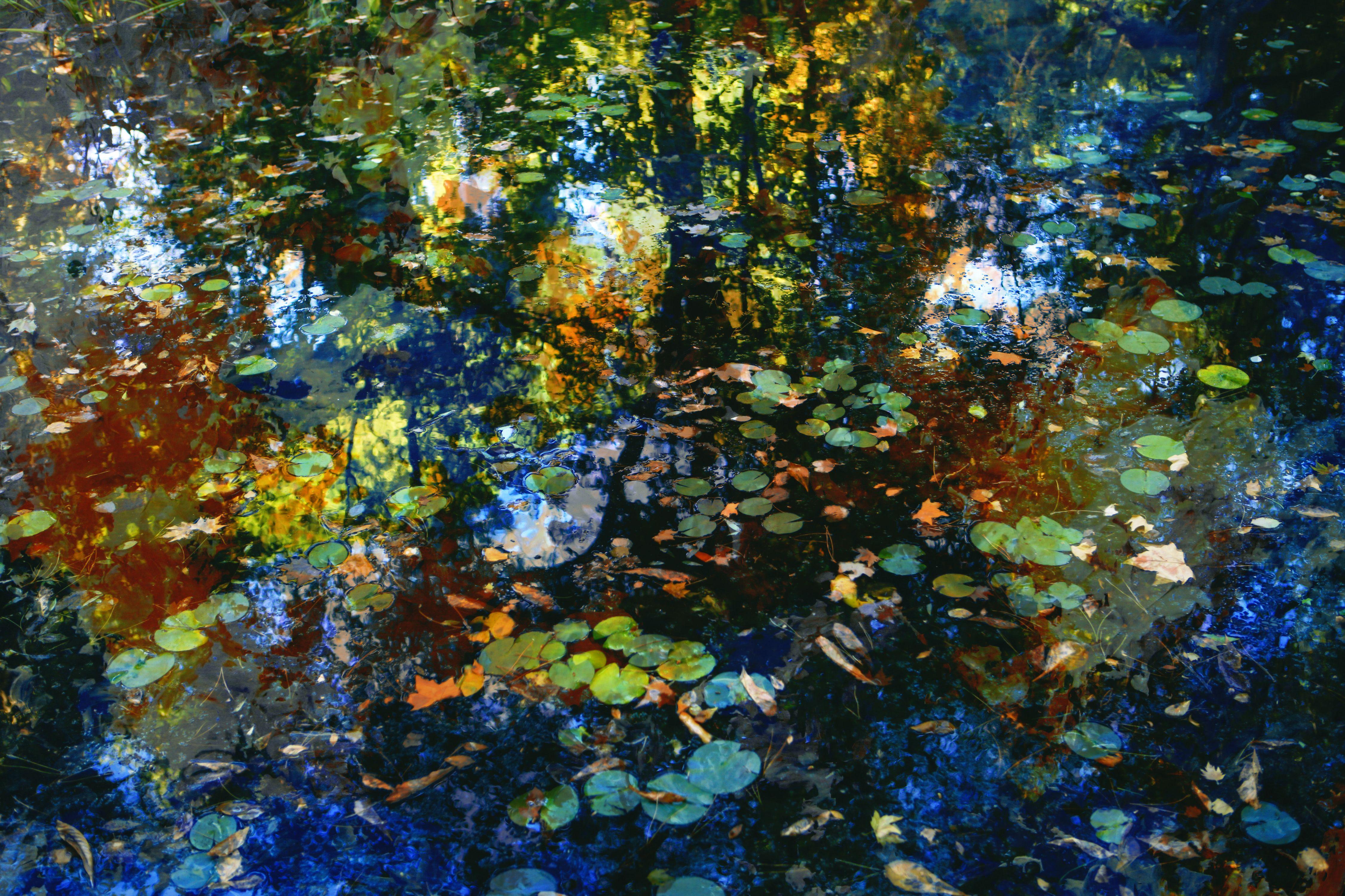 Viet Ha Tran Color Photograph – Der Atemzug des Herbstes II, Fotografie, C- Typ