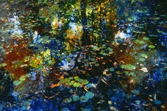 Der Atemzug des Herbstes II, Fotografie, C- Typ