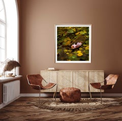 Le lac du Lotus d'or, Photographie, C.C.C.