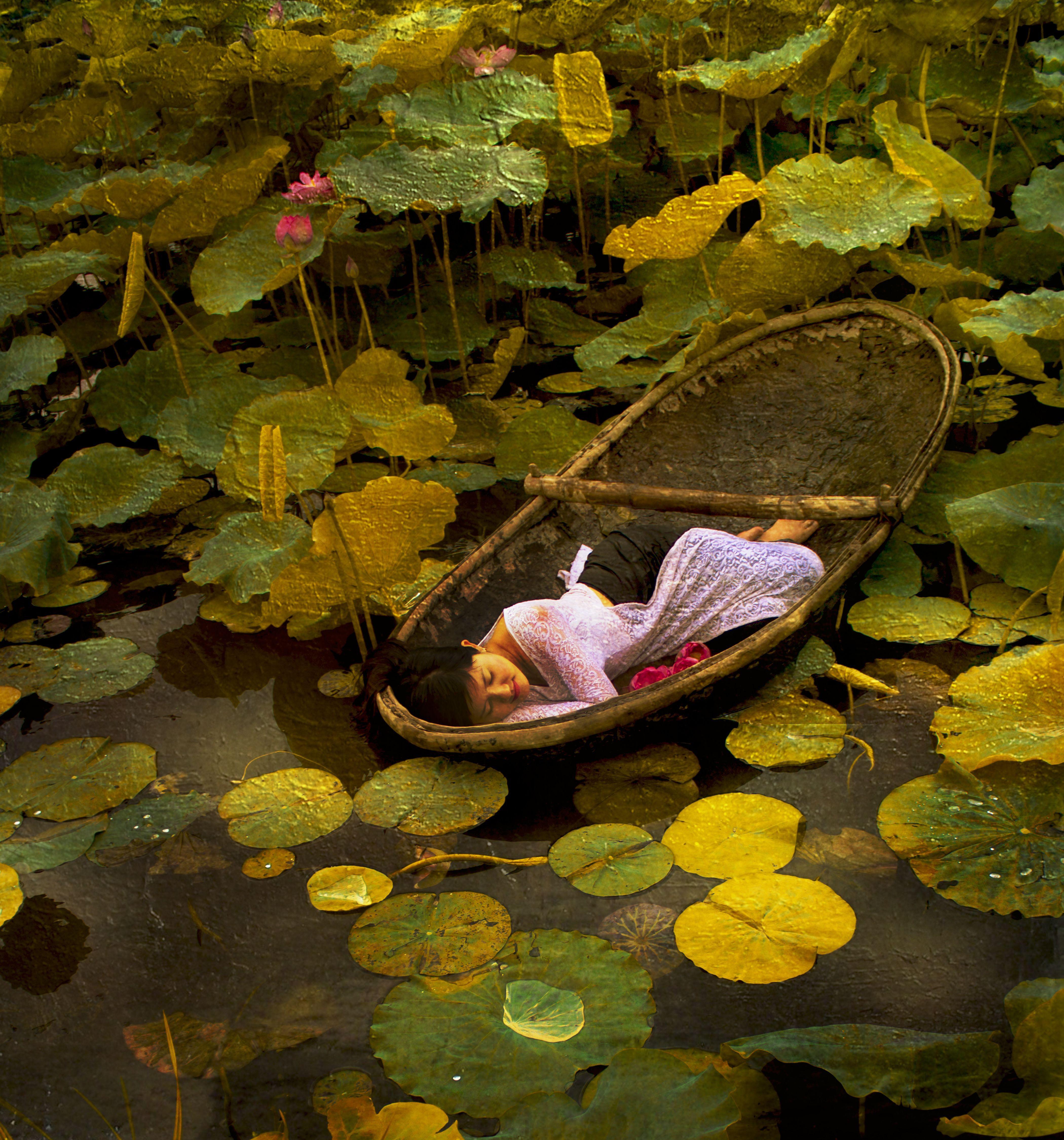 Viet Ha Tran Color Photograph - The Golden Lotus Lake, Photograph, C-Type
