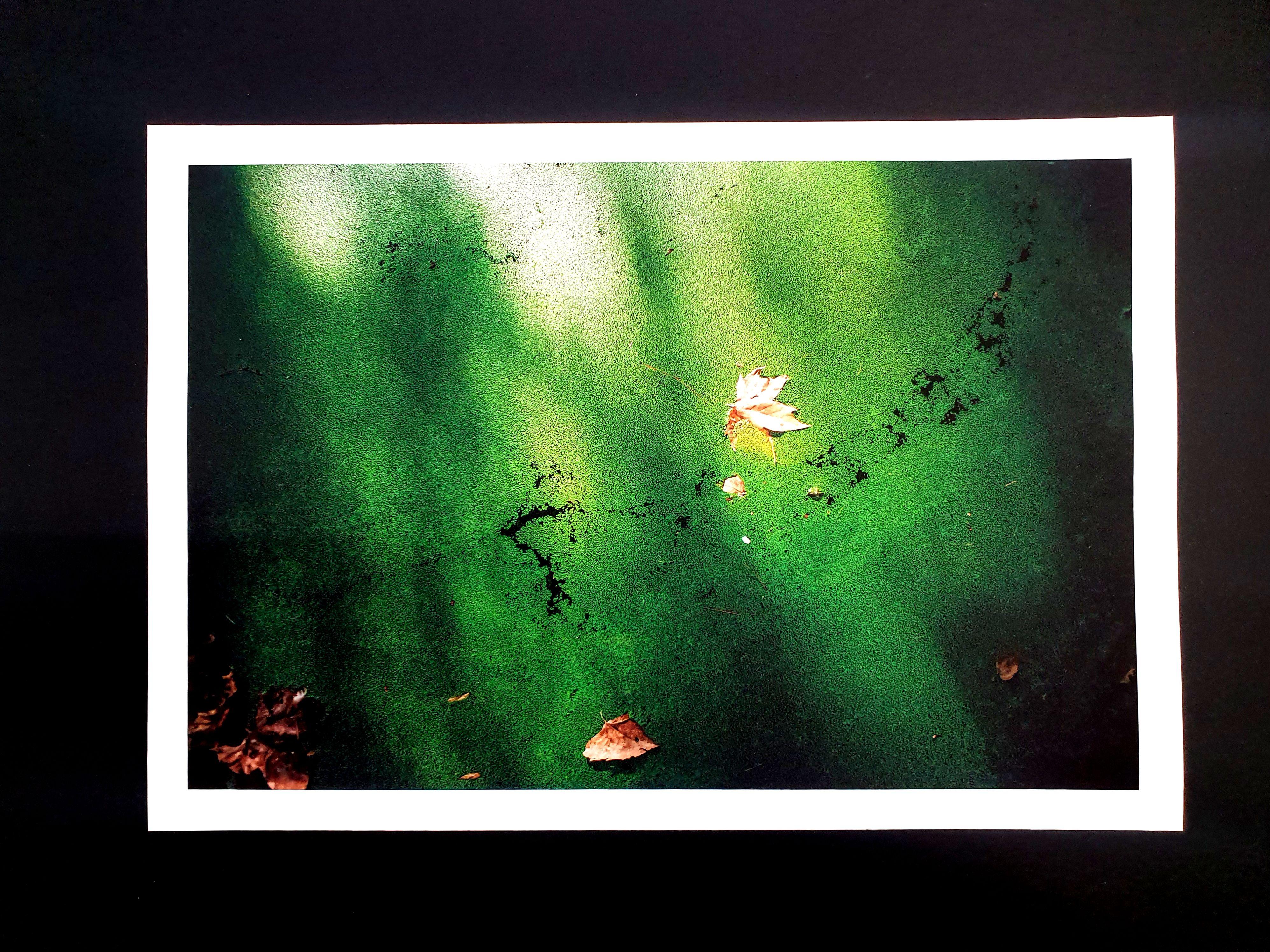 The infinite silence, Photograph, C-Type For Sale 1