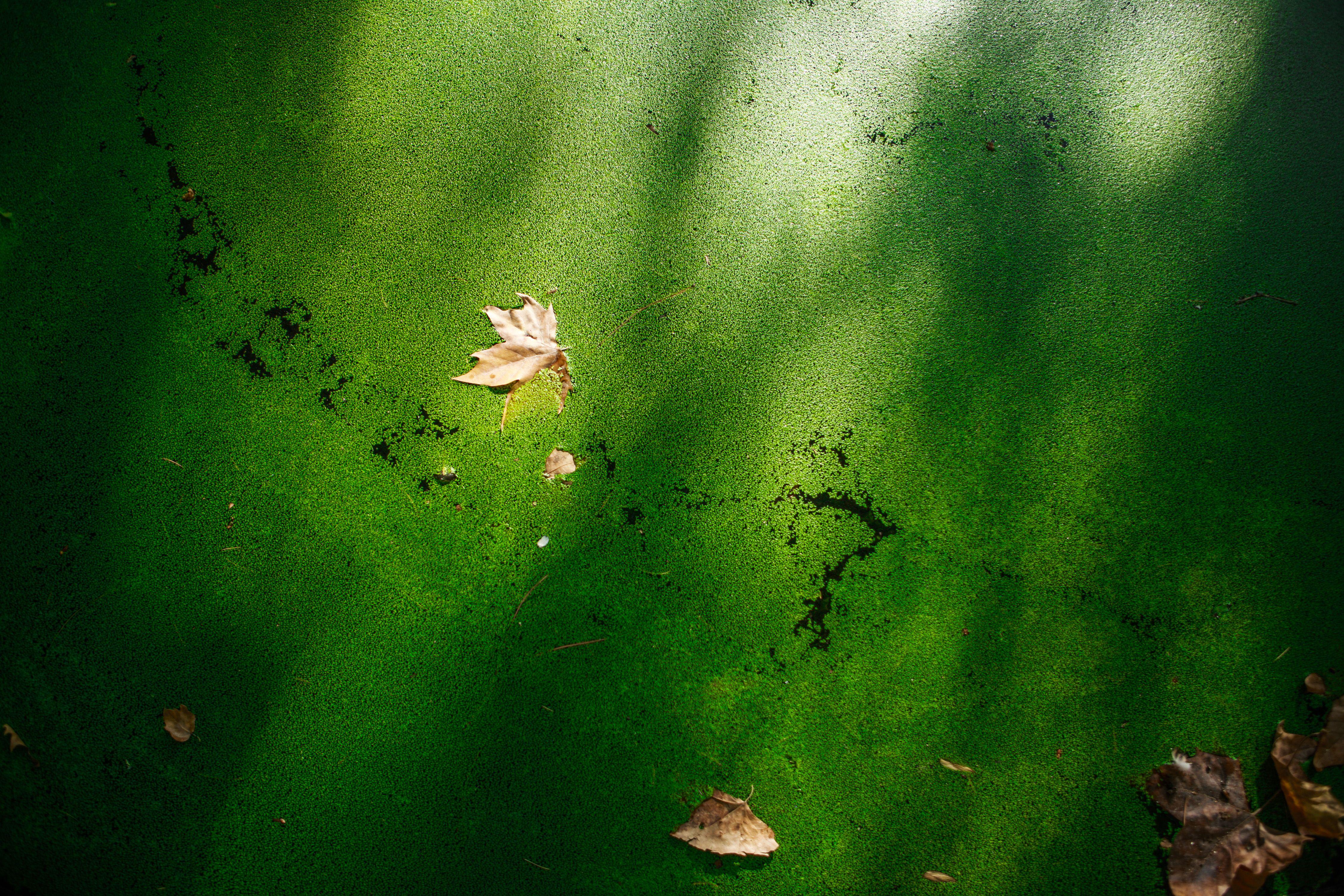Viet Ha Tran Color Photograph – Die unendliche Stille, Fotografie, C-Typ