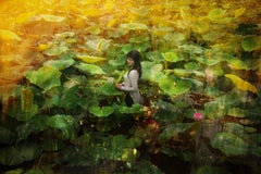 The lotus song, Photograph, C-Type
