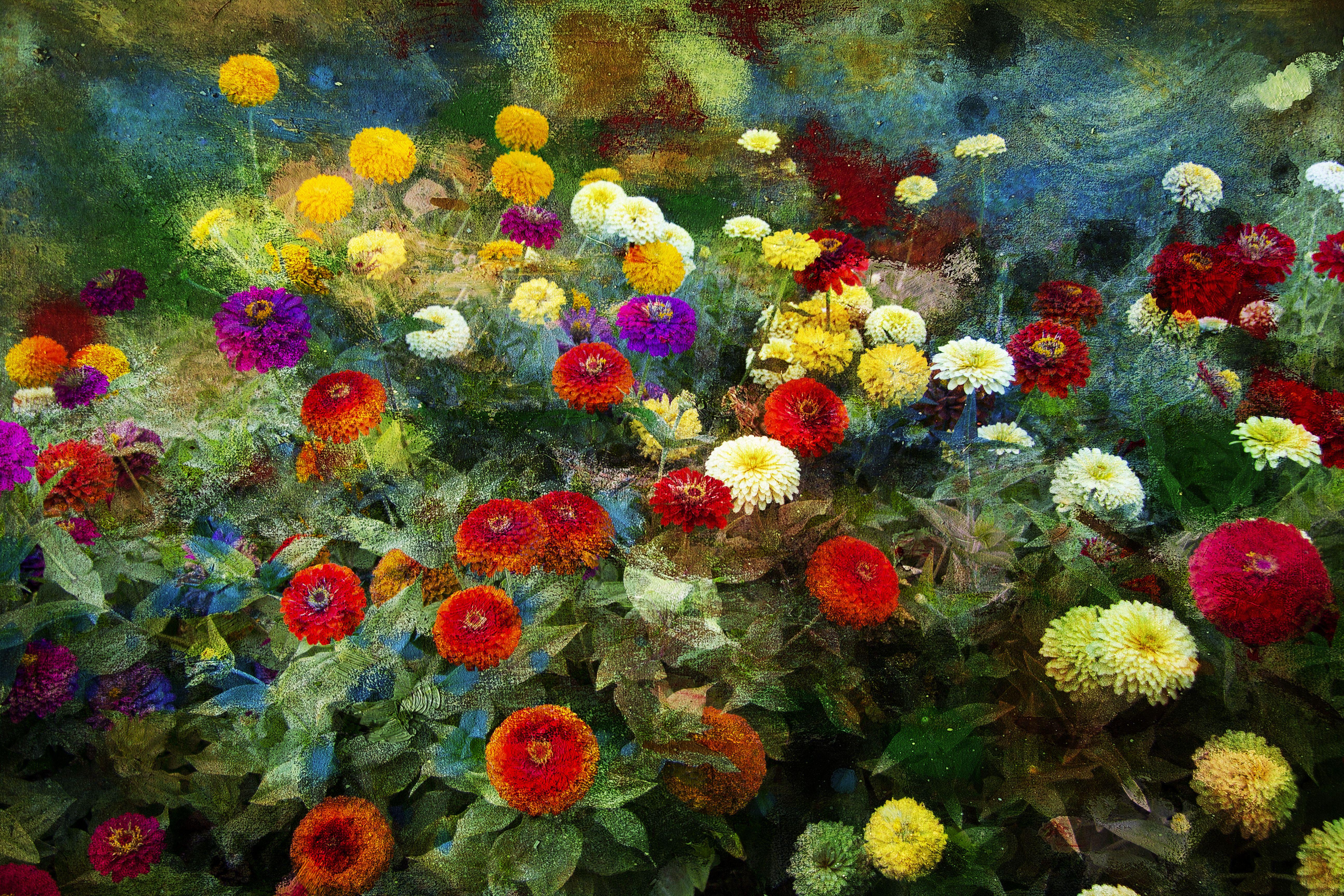 Viet Ha Tran Color Photograph - The memories of flowers, Photograph, C-Type