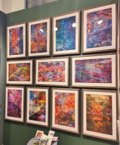 Wall of Nature framed series, Photograph, C-Type