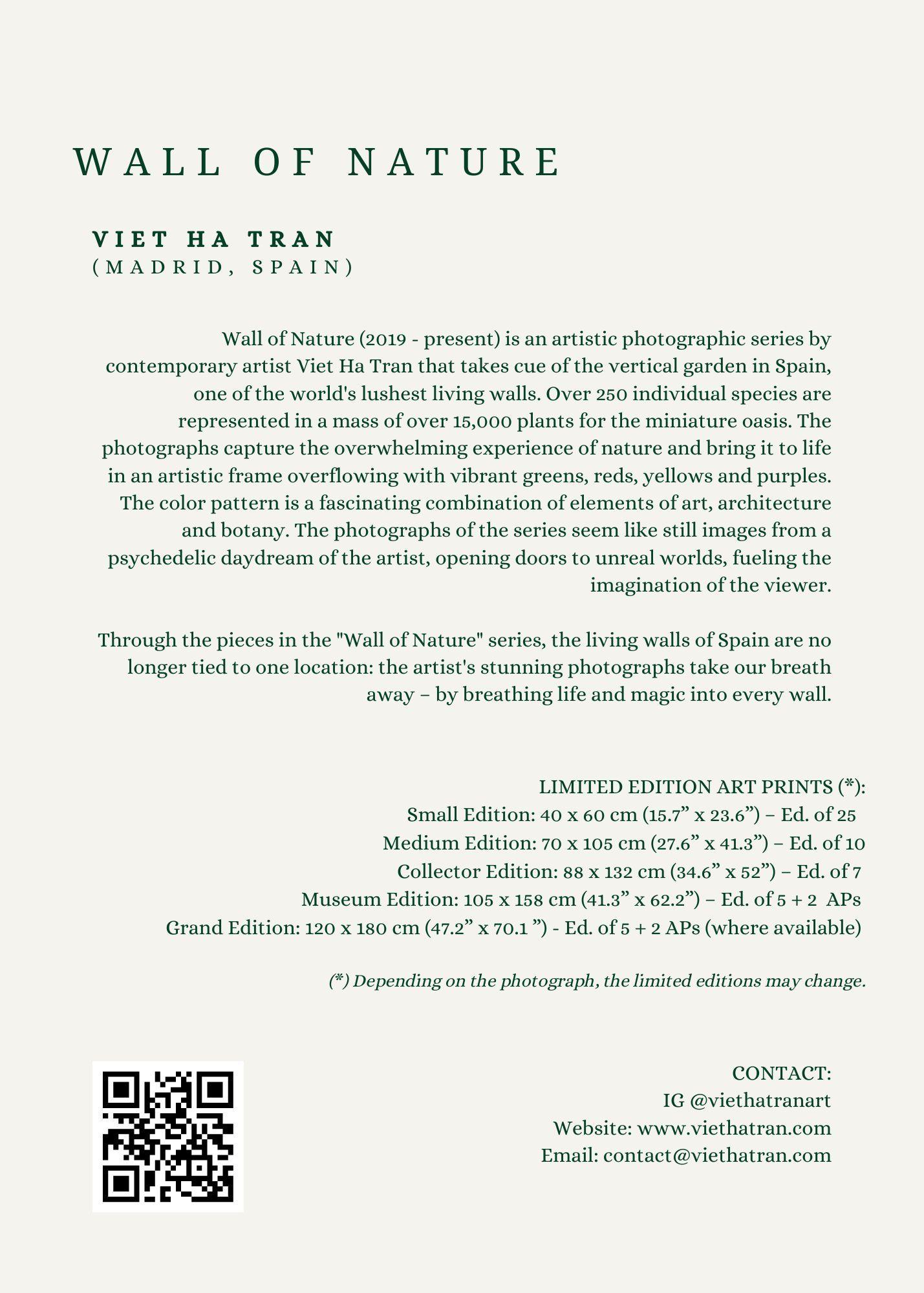 Wall of Nature LII, Fotografie, C-Typ – Photograph von Viet Ha Tran