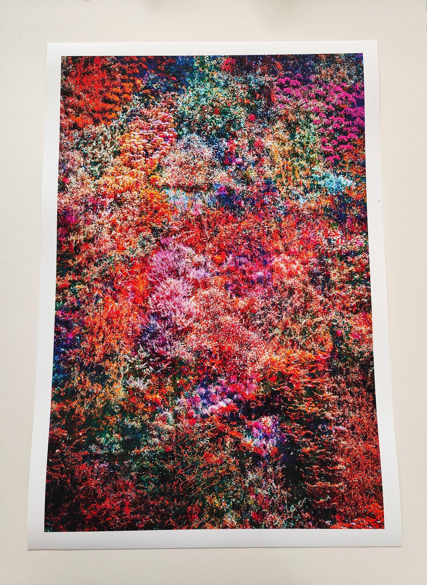 Wall of Nature LII, Fotografie, C-Typ (Sonstige Kunststile), Photograph, von Viet Ha Tran