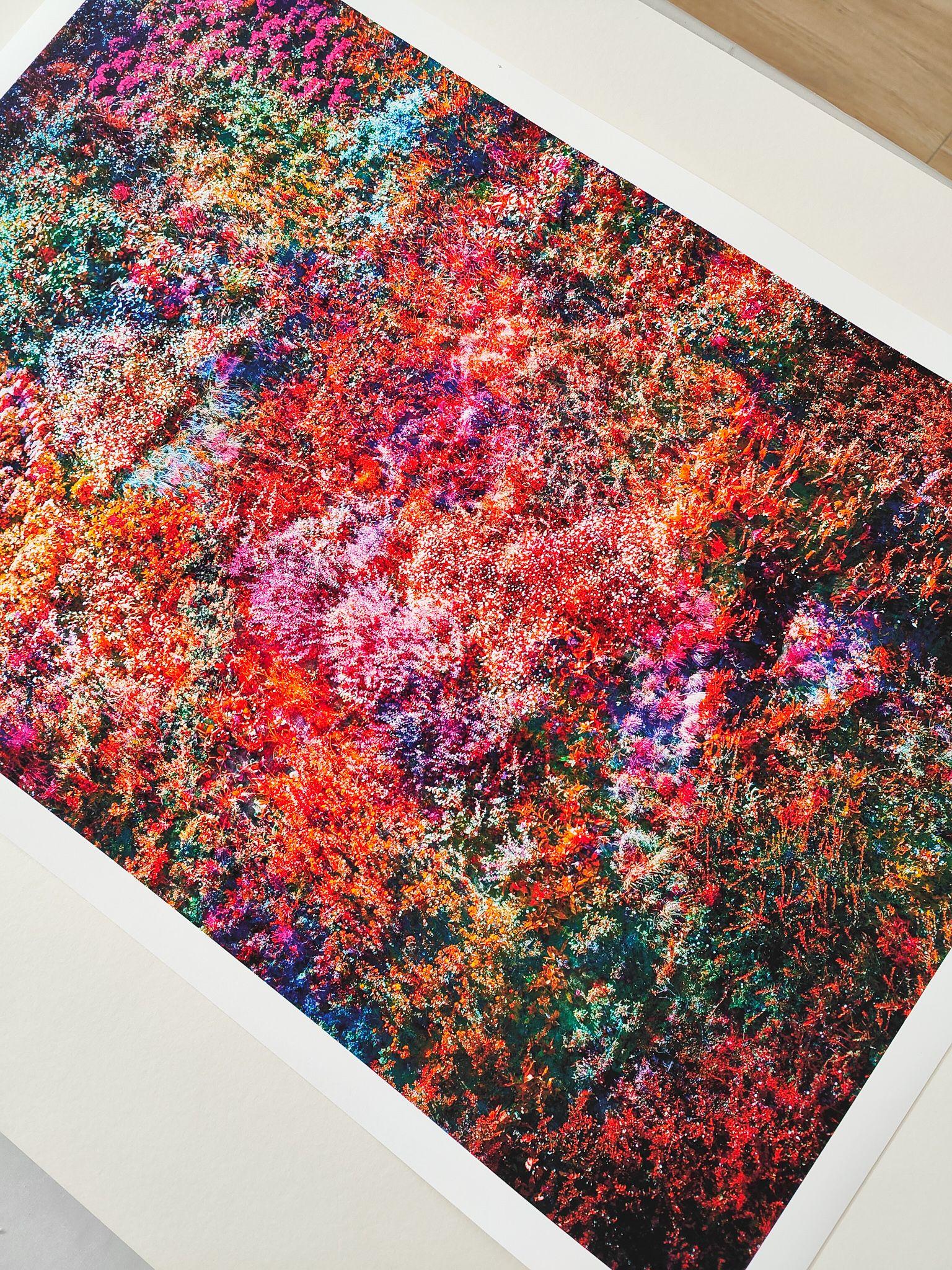 Wall of Nature LII, Fotografie, C-Typ (Schwarz), Color Photograph, von Viet Ha Tran