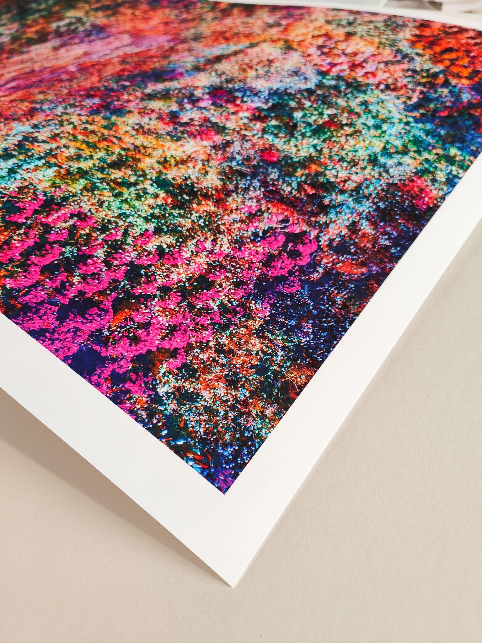 Die Fotografien von â€žWall of Natureâ€œ