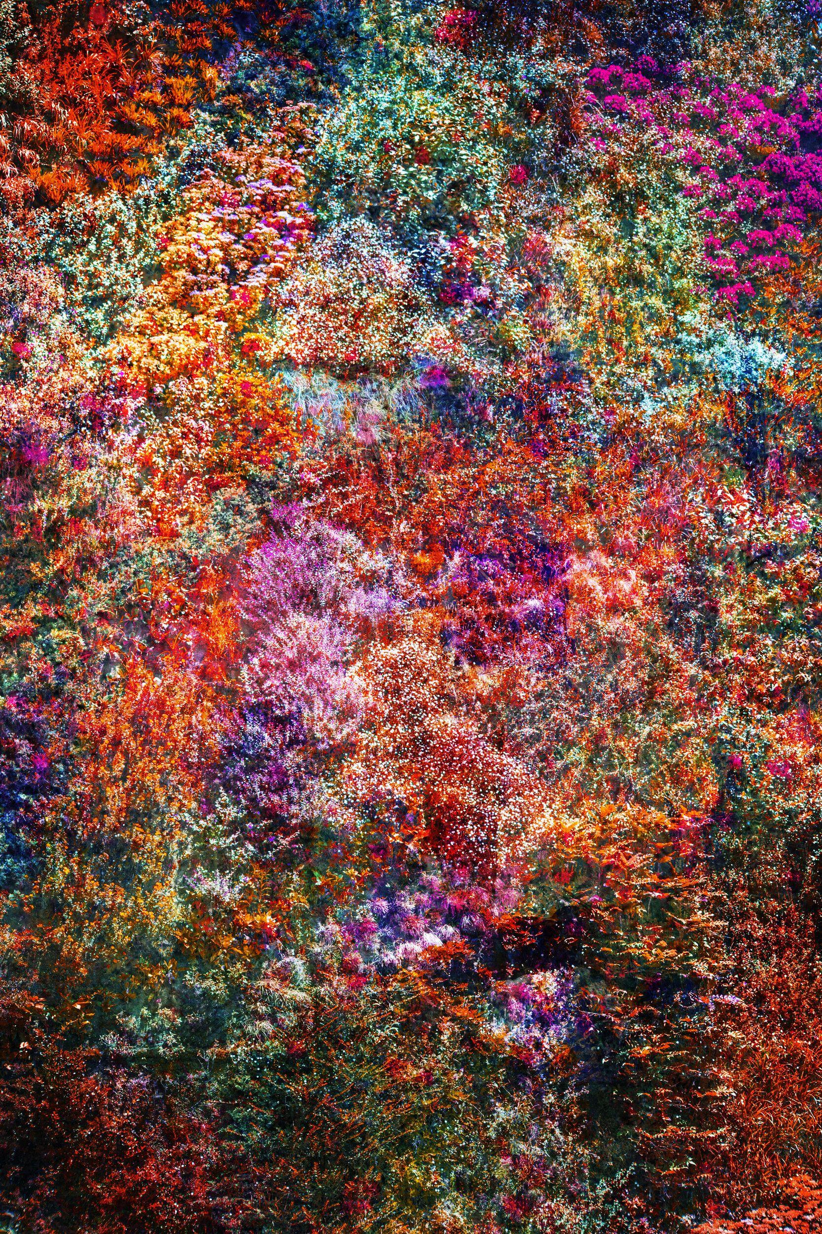 Viet Ha Tran Color Photograph – Wall of Nature LII, Fotografie, C-Typ