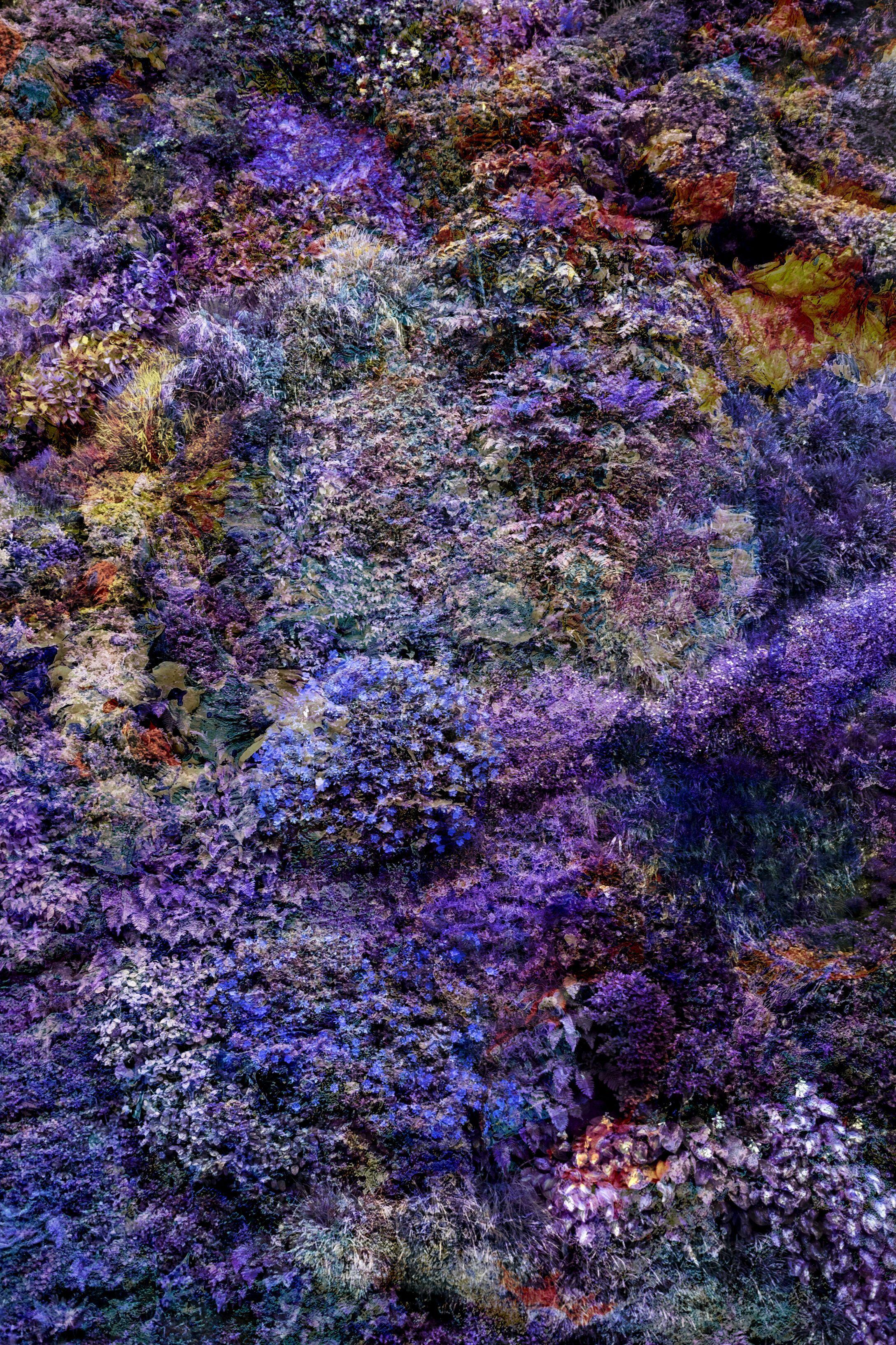 Color Photograph de Viet Ha Tran - Muro de la Naturaleza LVII, Fotografía, Inyección de tinta de archivo