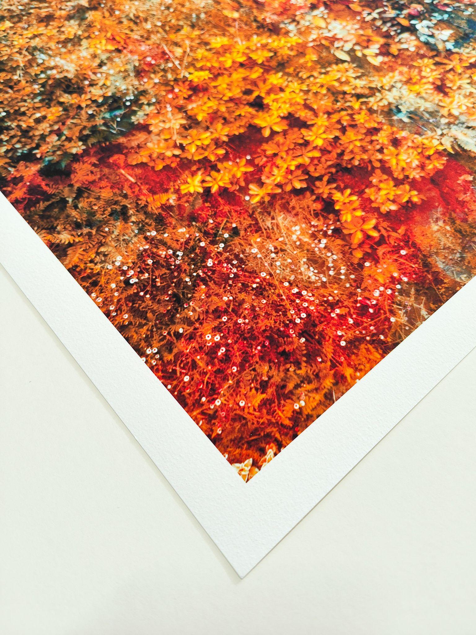 Wall of Nature ist eine künstlerische Fotoserie, die auf der Grundlage des vertikalen Gartens vor dem Caixaforum, einem Kunstmuseum in Madrid, entstanden ist. Dieser epische Garten, der 2008 vom französischen Botaniker Patrick Blanc entworfen wurde,
