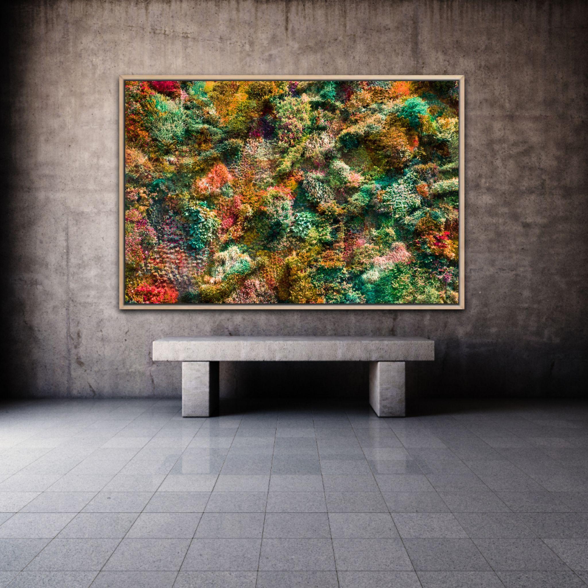 Wall of Nature XXXV (XXL Edition), Photographie, C.C. en vente 2