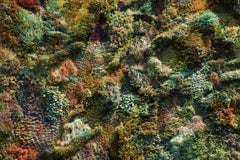 Wall of Nature XXXV (XXL Edition), Photograph, C-Type