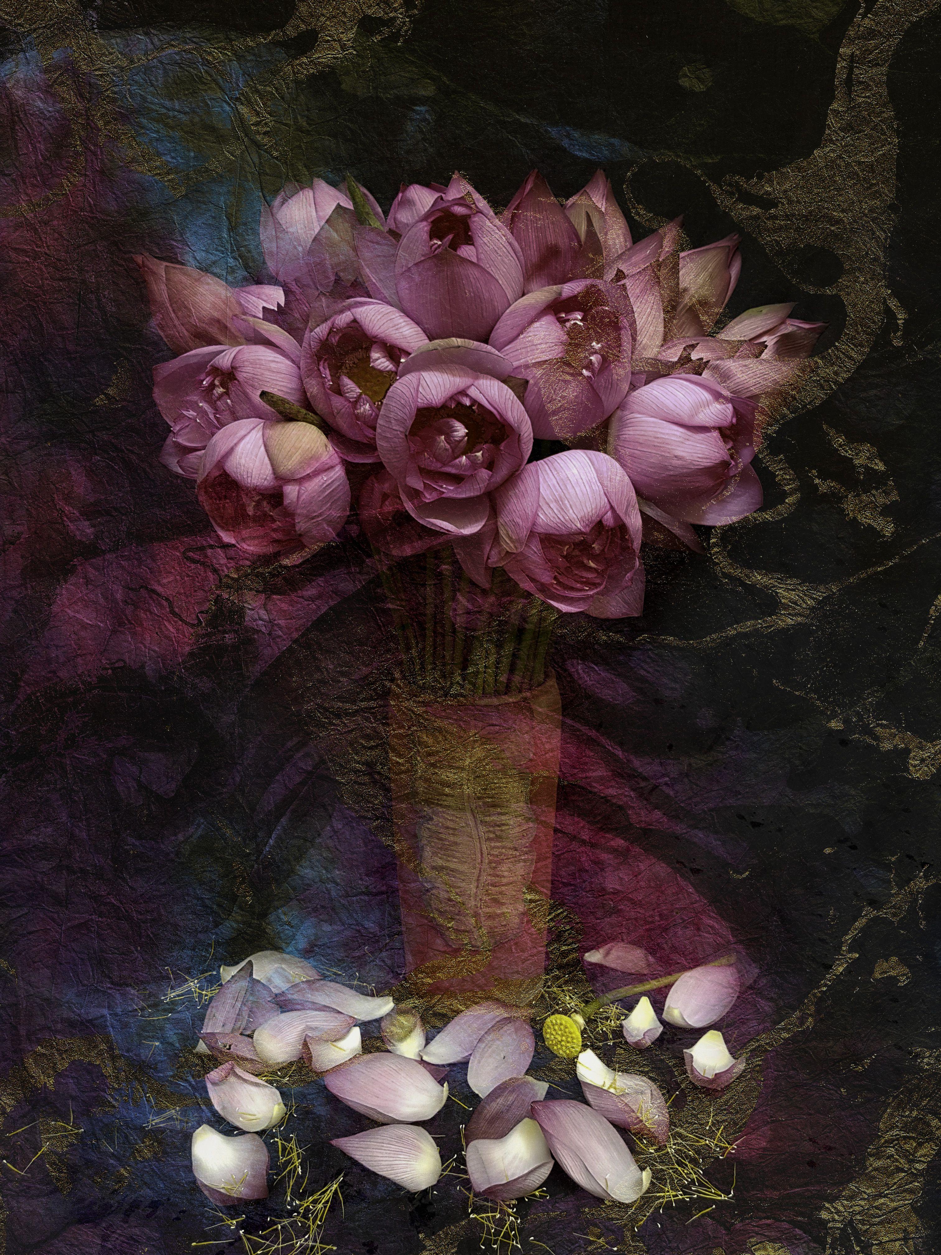 The Pink Lotus, Digital on Paper - Print by Viet Ha Tran