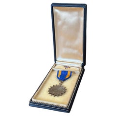 Vietnamkrieg Naval Air Medal / POW Hero