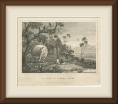 View in Sierra Leone, West Africa, Elephant, Antique Engraving, circa 1825