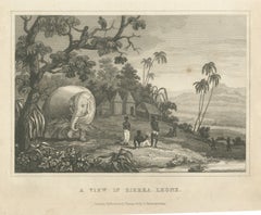 View in Sierra Leone, West Africa, Elephant, Antique Engraving, circa 1825
