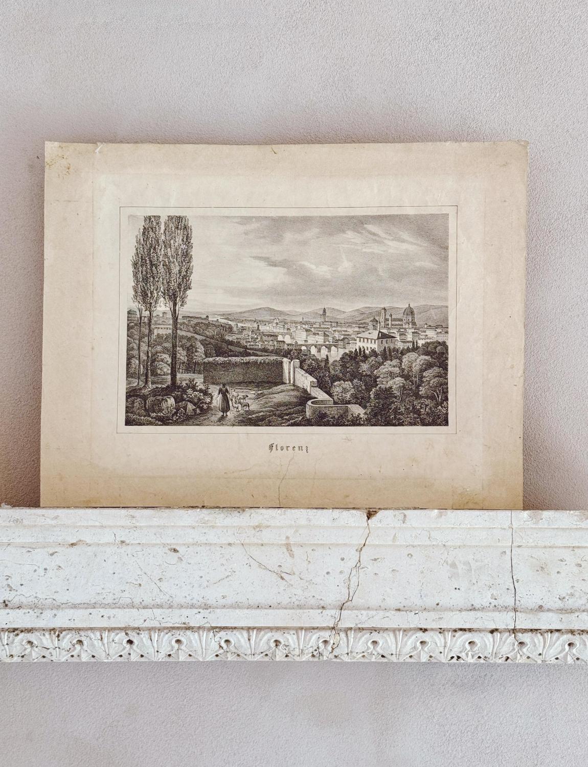 A truly wonderful Acqua forte etching showing a view of Florence etched in the 1850s. The view stretches across what was once fields to the city with the Duomo and monuments visible and the hills of Florence in the background.

Dimensions: H28cm x