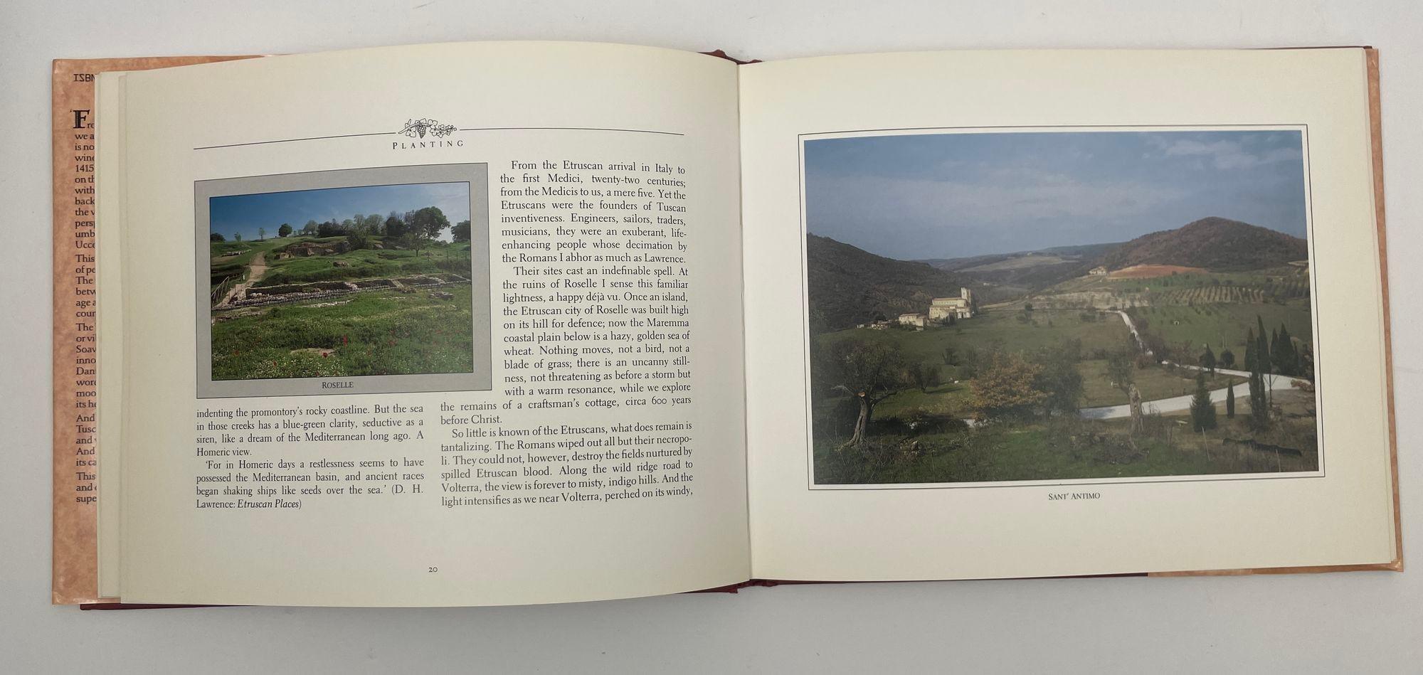 Views from a Tuscan Vineyard Hardcover Book by Julian and Carey More 1987 For Sale 5