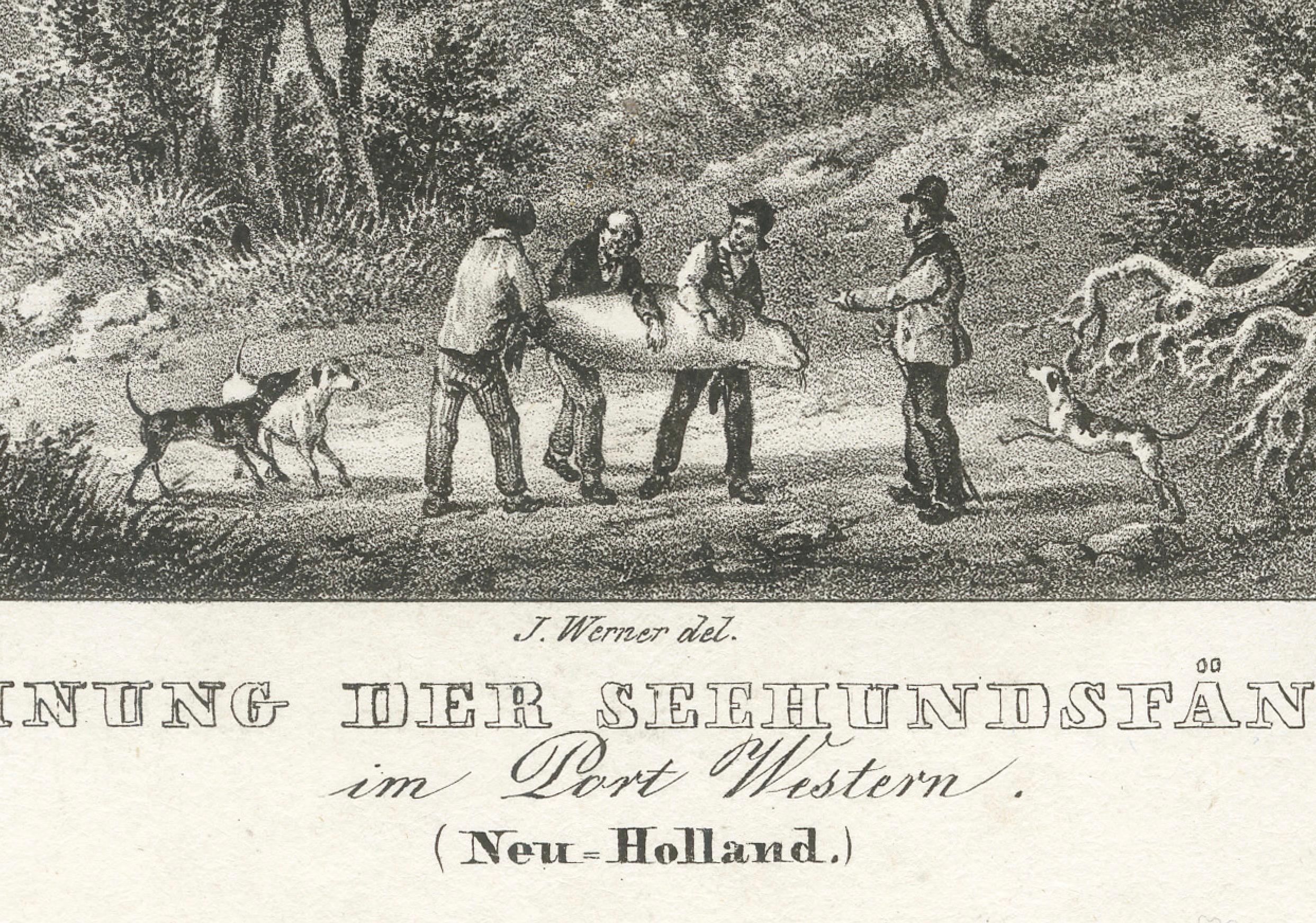 Vistas de Port Jackson y de la vivienda de los cazadores de focas, Nueva Holanda (Nueva Gales del Sur) en Bueno estado para la venta en Langweer, NL