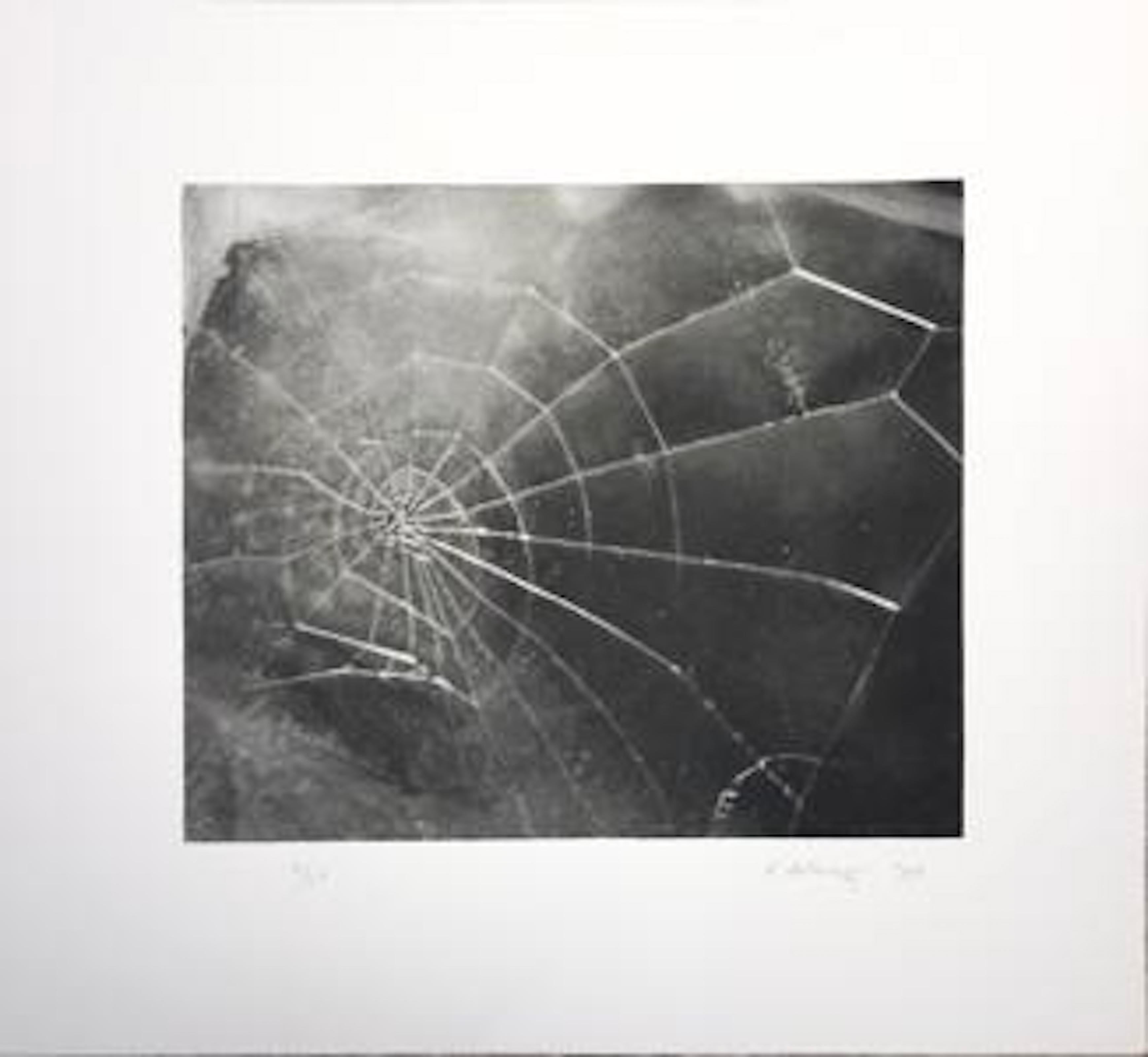 Spider Web; 2009; Screenprint; 17 1/2 x 19 inches; Edition of 117 - Print by Vija Celmins