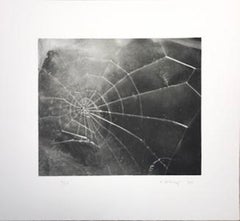 Spider Web; 2009; Screenprint; 17 1/2 x 19 inches; Edition of 117