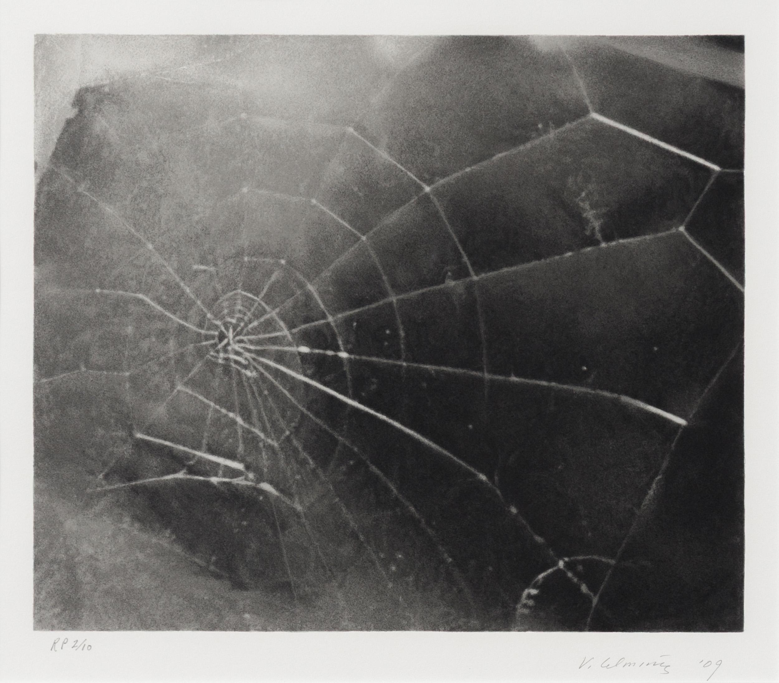 Spider Web For Sale 7