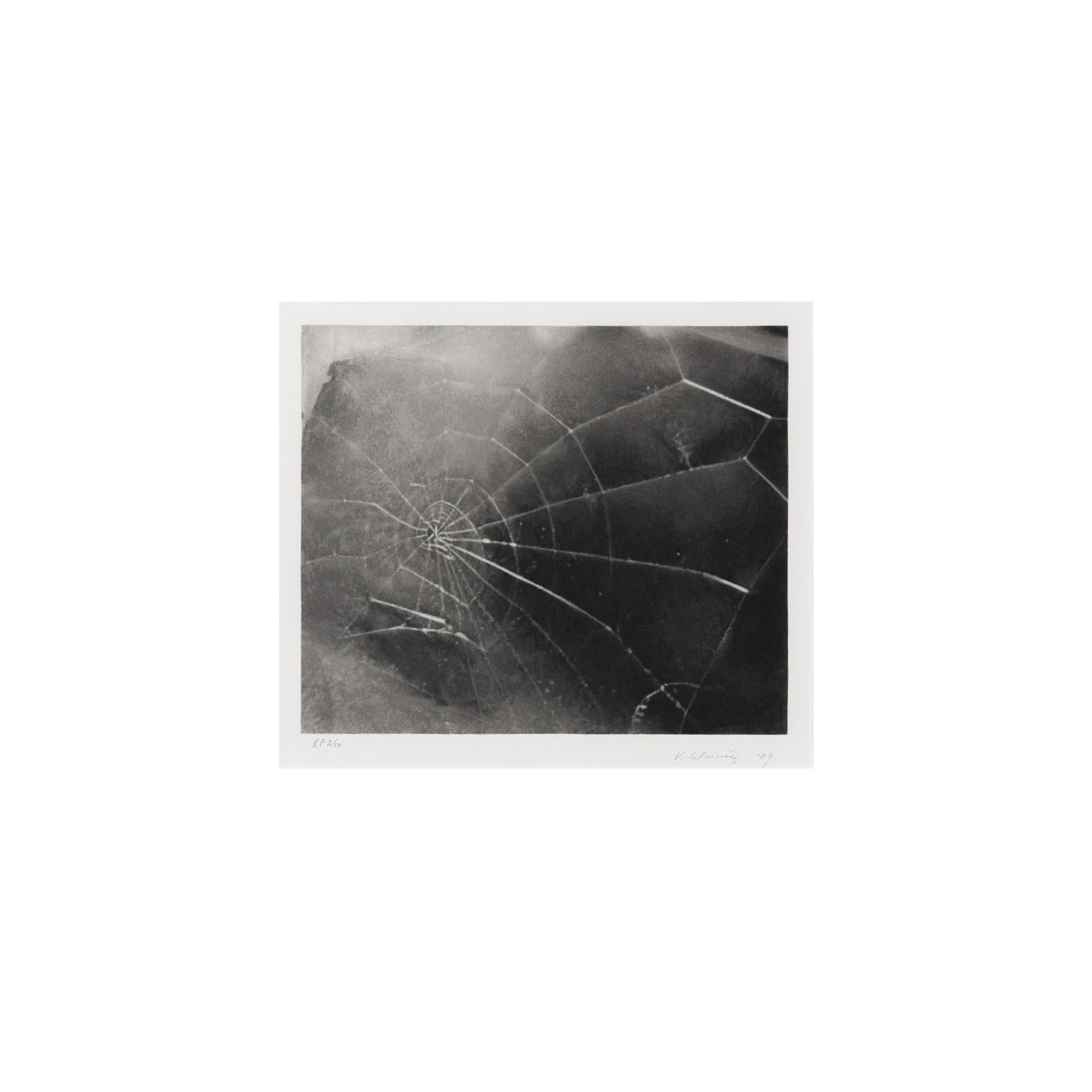Spider Web - Photorealist Print by Vija Celmins
