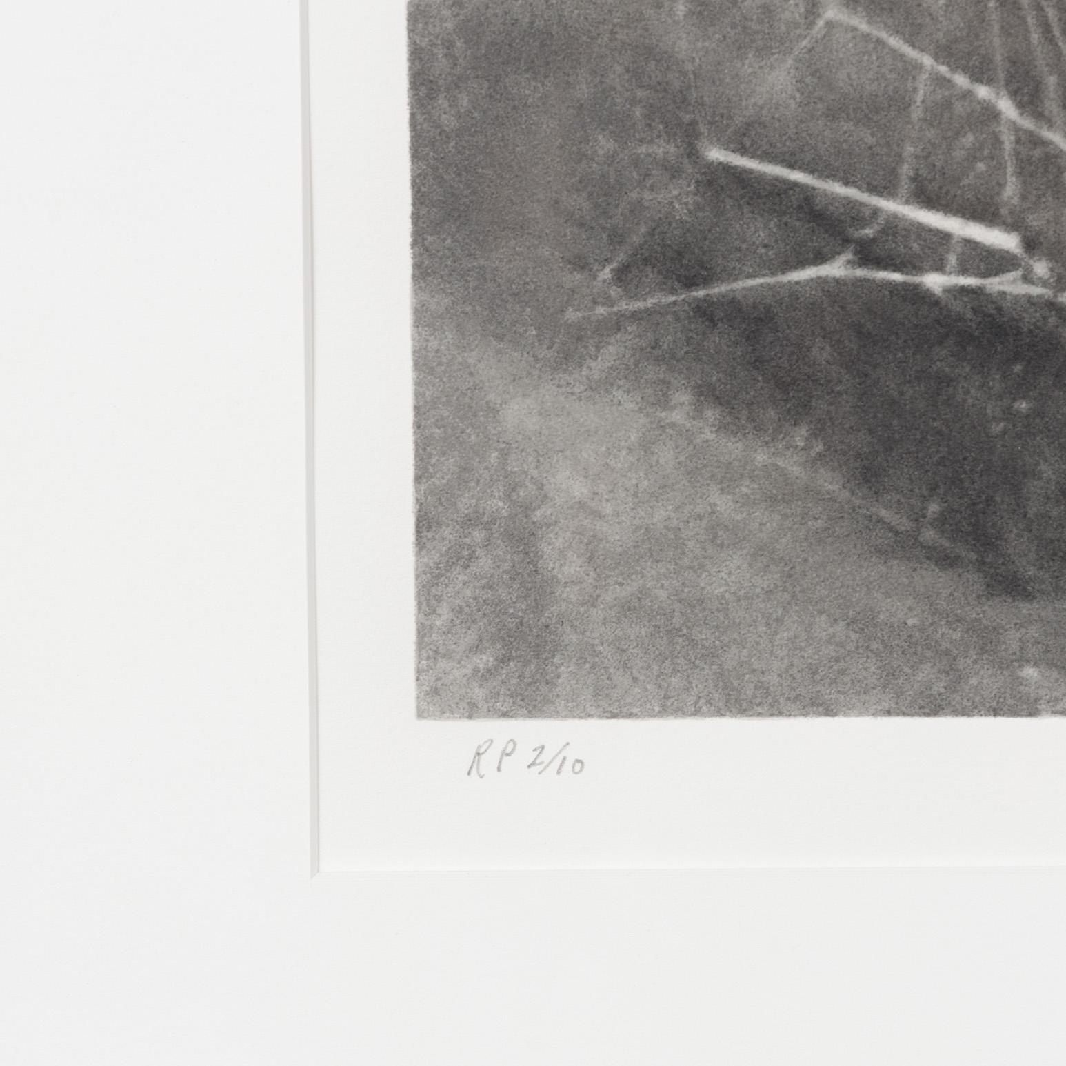 Vija Celmins (b. 1938) is one of the most accomplished and revered living American artists. Born in Riga, Latvia, her dynamic oeuvre resists merging with any art-historical 