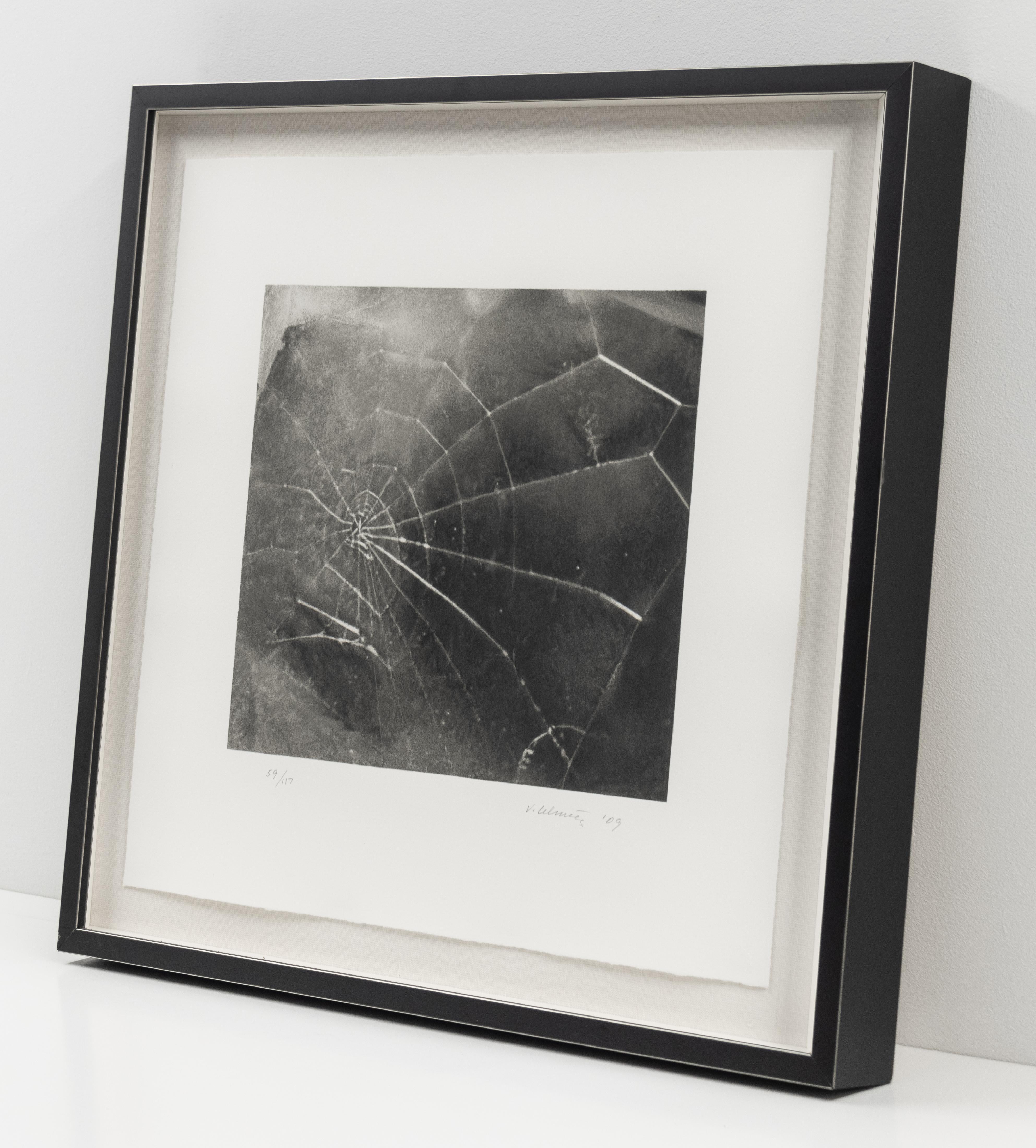 Spider Web, Vija Celmins Zeitgenössische Siebdrucke im Angebot 2