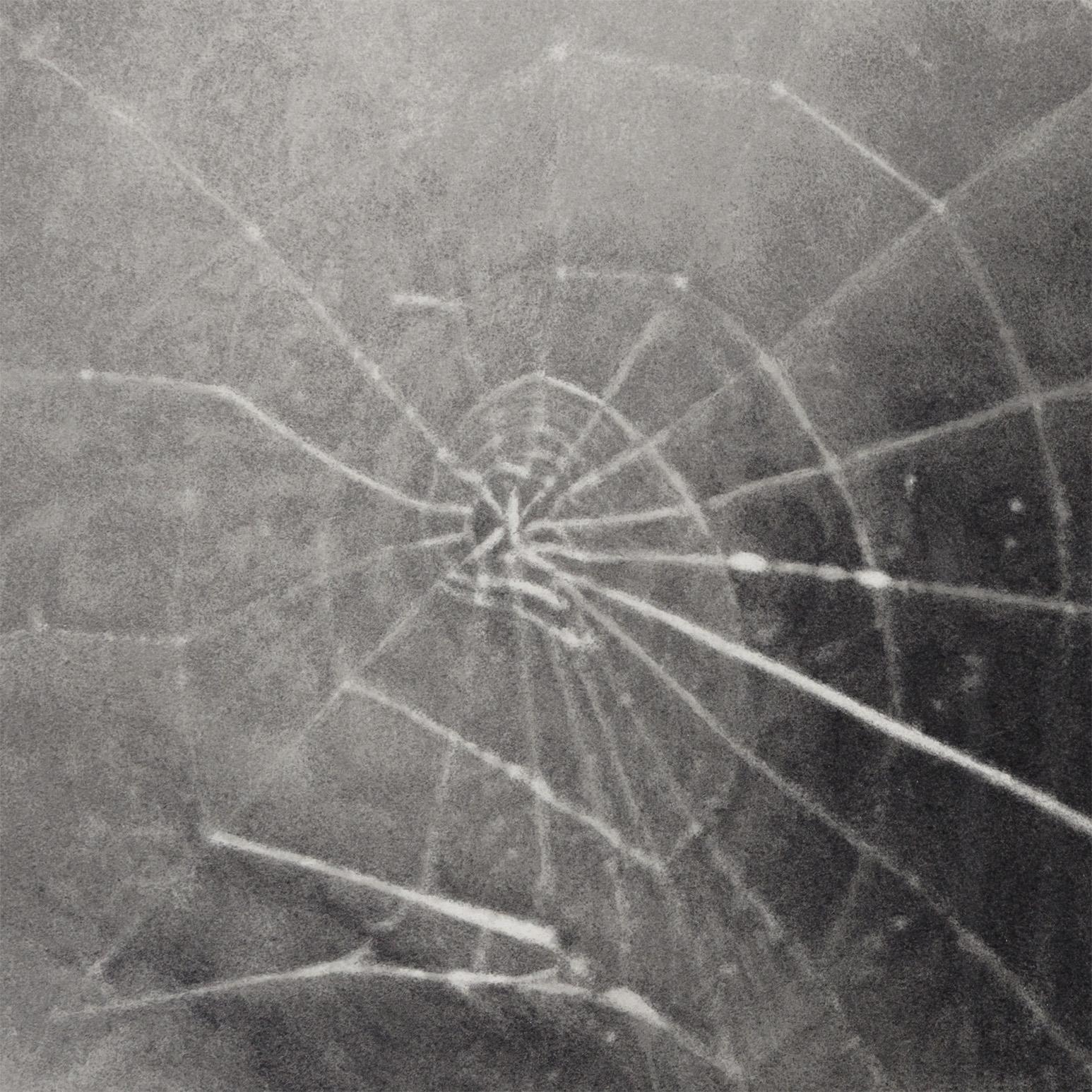 Spider Web For Sale 2