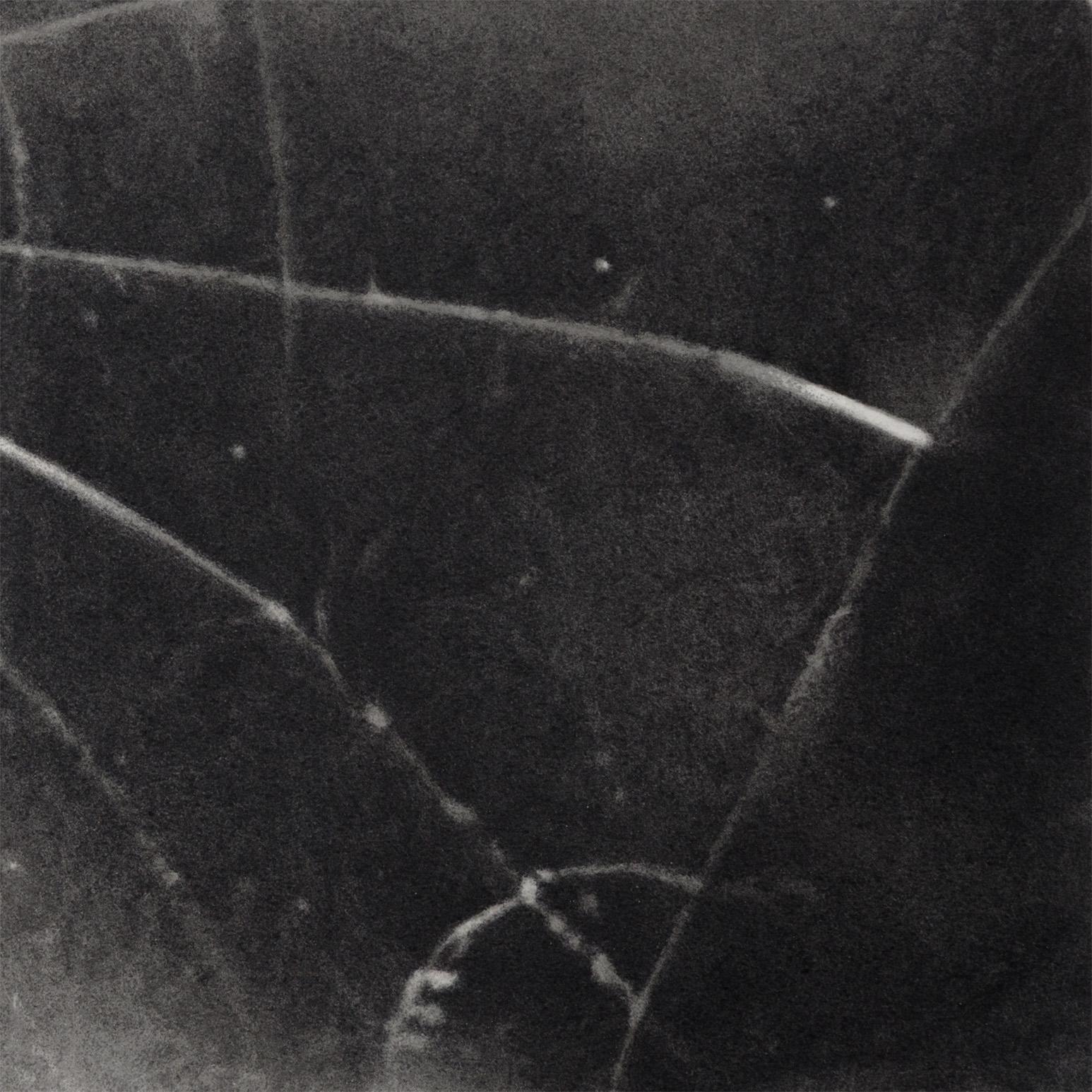 Spider Web For Sale 3