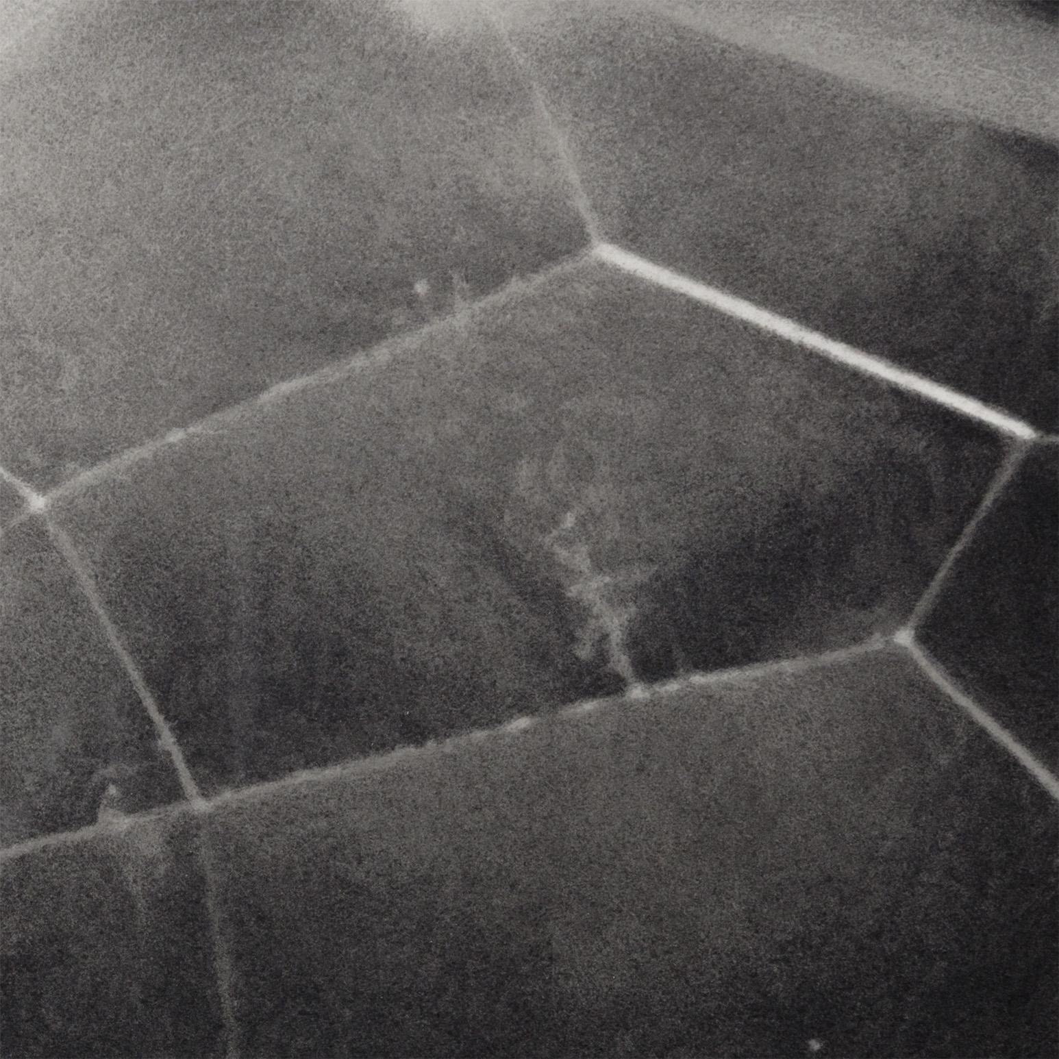 Spider Web For Sale 4