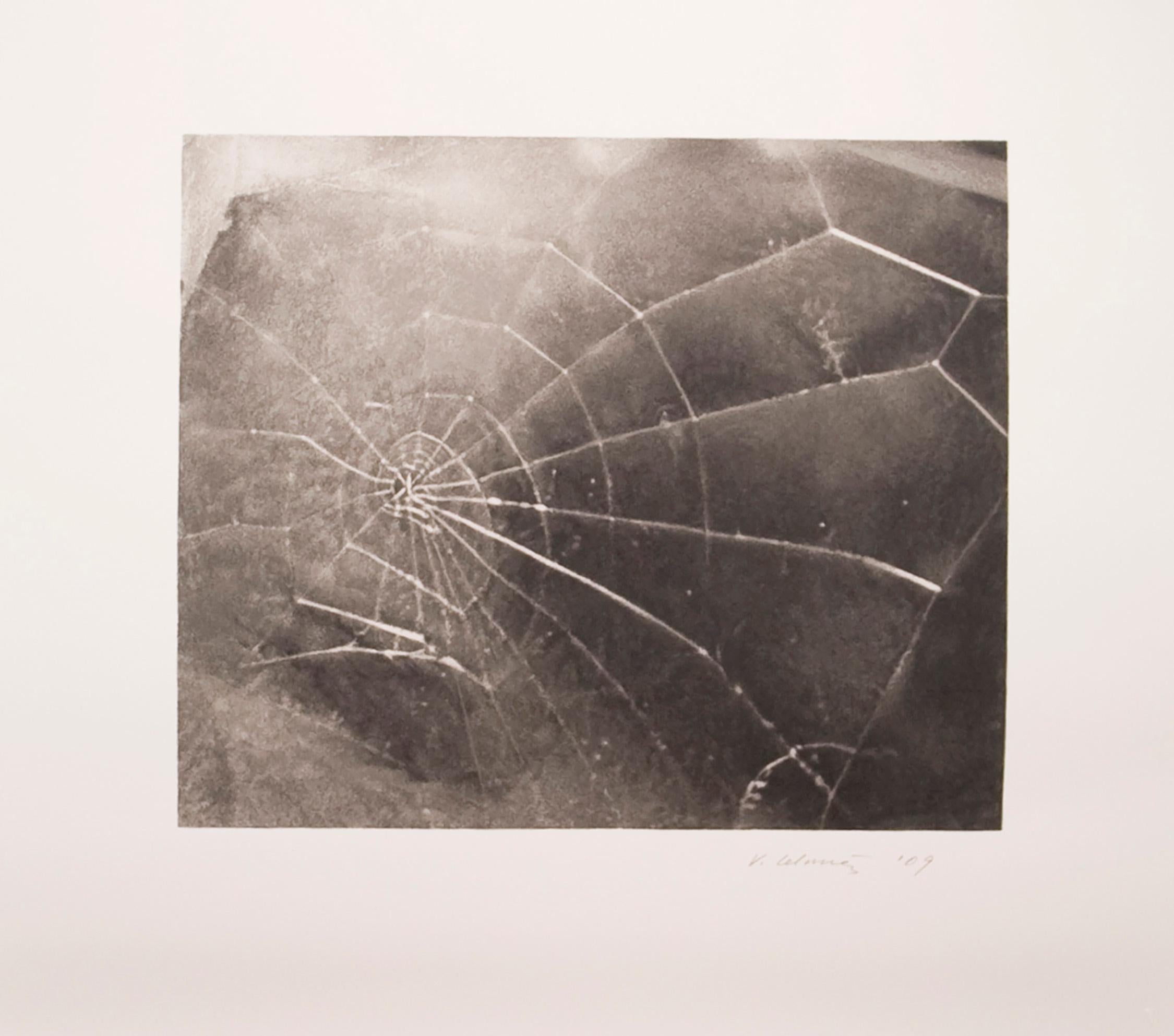 Spider Web - Print by Vija Celmins